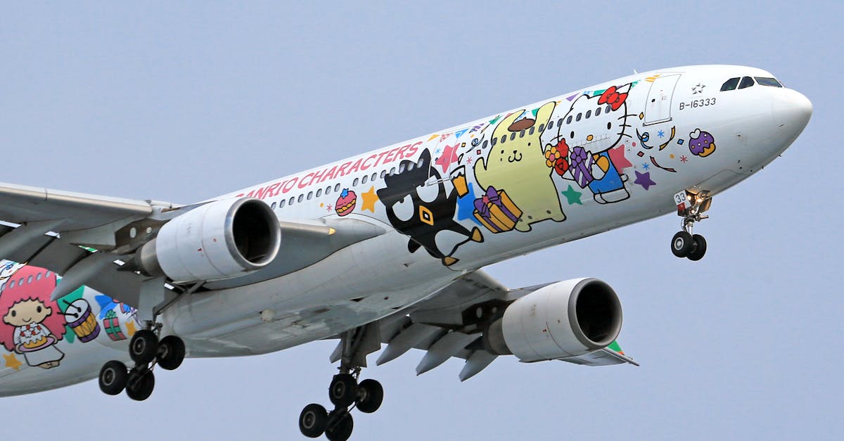 Sanrio公仔不只是擺設：一個成年收藏者的真心話